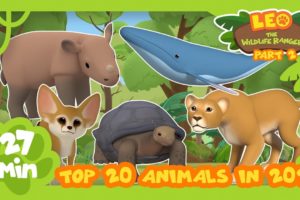 Top 20 Most Popular Animals from Season Two in 2021! Part 2! | Leo the Wildlife Ranger