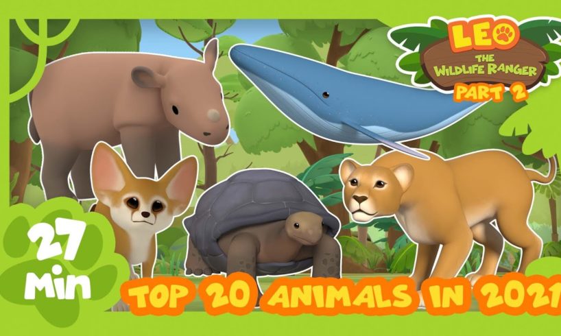 Top 20 Most Popular Animals from Season Two in 2021! Part 2! | Leo the Wildlife Ranger