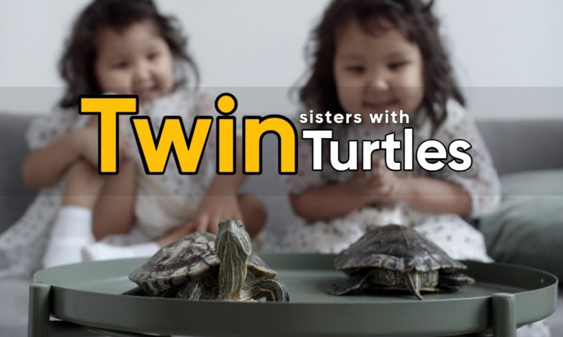 Twin Sisters Playing With Twin Turtles - Crazy Wild Pet Animals