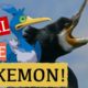 What Real Animal is Cramorant the Pokemon ? | Cramorant's Gulp Missile | Animals in Pop Culture