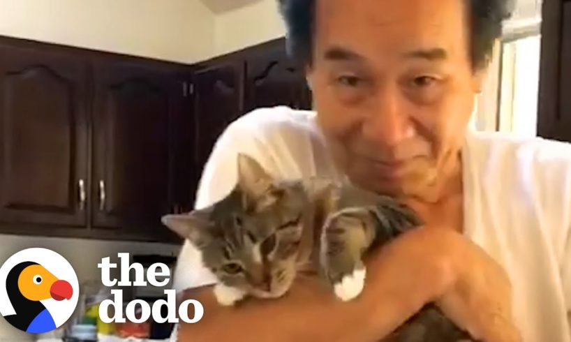 Woman’s Dad Who Didn’t Like Cats Changes His Mind Thanks To One Special Kitten | The Dodo