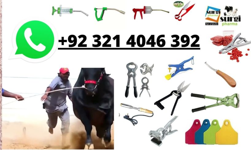 World Class Veterinary Instruments for Livestock Farming