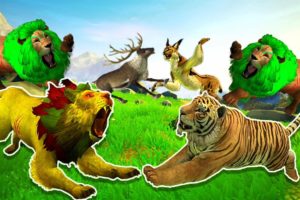 Zombie Tiger VS Giant Lion T Rex Reindeer Animal Fight Cartoon