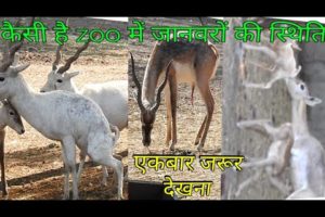 bad condition of animals in indian zoo ||tech earth||