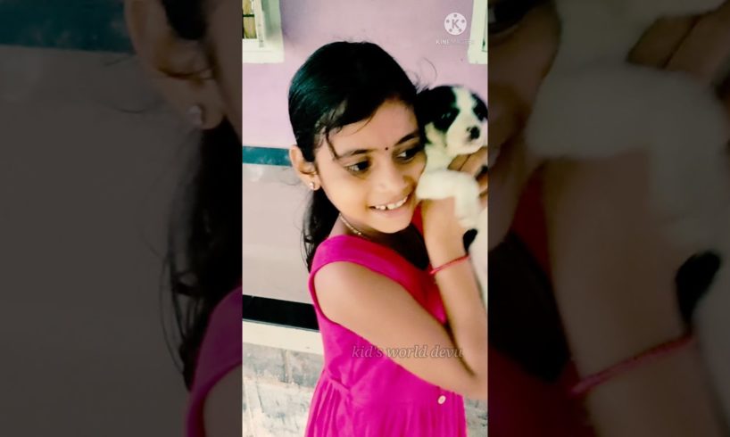 puppy l funniest and cutest puppies l πππ