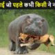जंगली जानवरों की सबसे भयंकर लड़ाईया | Craziest Fights of Wild Animals | Animal Fights in Hindi