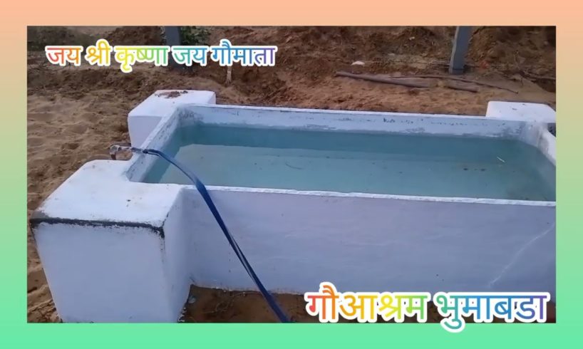 श्रीकृष्ण गौआश्रम भुमाबडा https://youtube.com/c/AshishSharmacowrescueteam #Bhumabada #cow #savecow