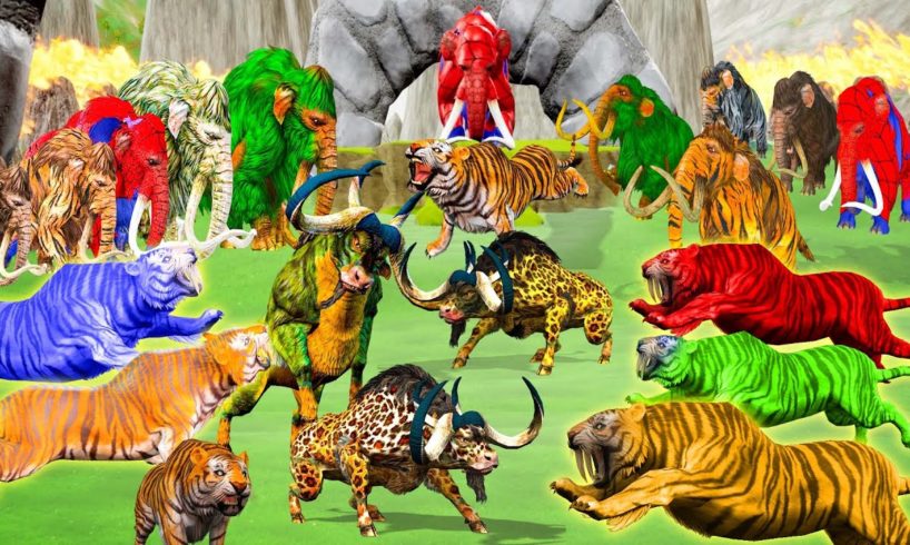 10 Zombie White Tigers Vs 10 Zombie Tiger Mammoth Rescue 3 Buffaloes  EpicBattle Wild Animal Fights