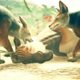 Random Animals Fight In Ancestors: The Humankind Odyssey | Part 29