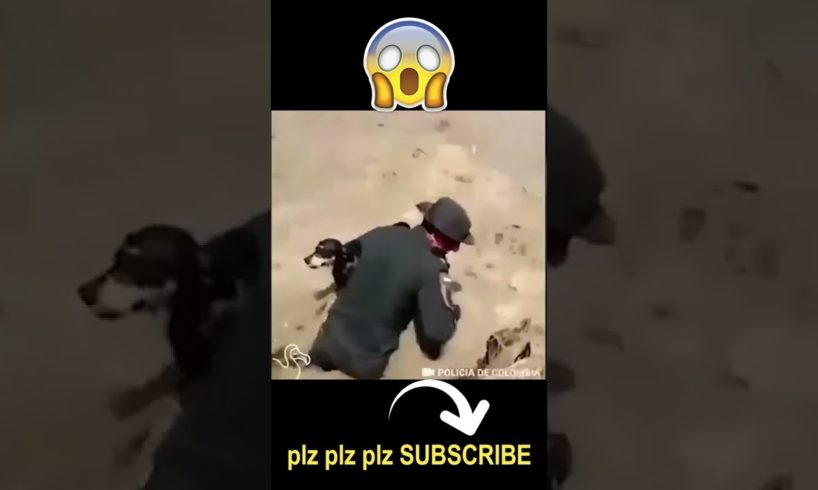 LUCKIEST PEOPLE CAUGHT ON CAMERA#shorts