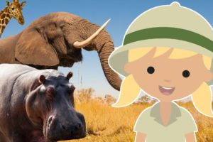 25 Amazing AFRICAN Animals for Kids | Learn English language animals name