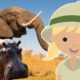 25 Amazing AFRICAN Animals for Kids | Learn English language animals name