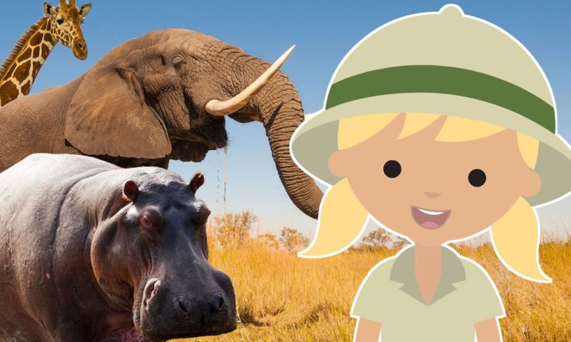 25 Amazing AFRICAN Animals for Kids | Learn English language animals name