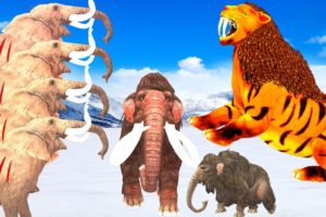 5 Elephants vs Tiger Fight Tiger Attack Baby Mammoth Elephant Saved By Zombie Mammoth Animal Fights