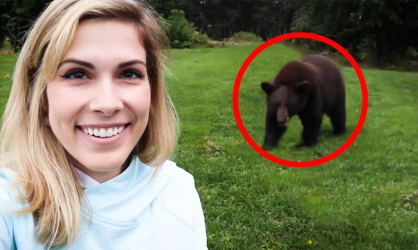 6 Bear Encounters That Will Give You Goosebumps