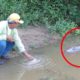 6 Crocodile Encounters You Will Regret Watching