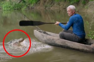 6 Crocodile Encounters You Won't Be Able to Watch