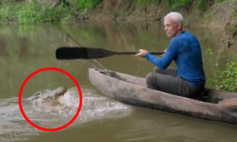6 Crocodile Encounters You Won't Be Able to Watch