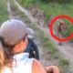 6 Scary Lion Encounters You Should Avoid Watching (Part 2)