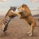 ⭐️7 BLOODIEST ANIMAL FIGHTS CAPTURED ON CAMERA