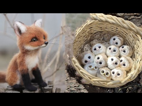 AWW SO CUTE! Cutest baby animals Videos Compilation Cute moment of the Animals - Cutest Animals #66