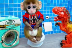 Animals Home monkey Bi Bon goes to toilet