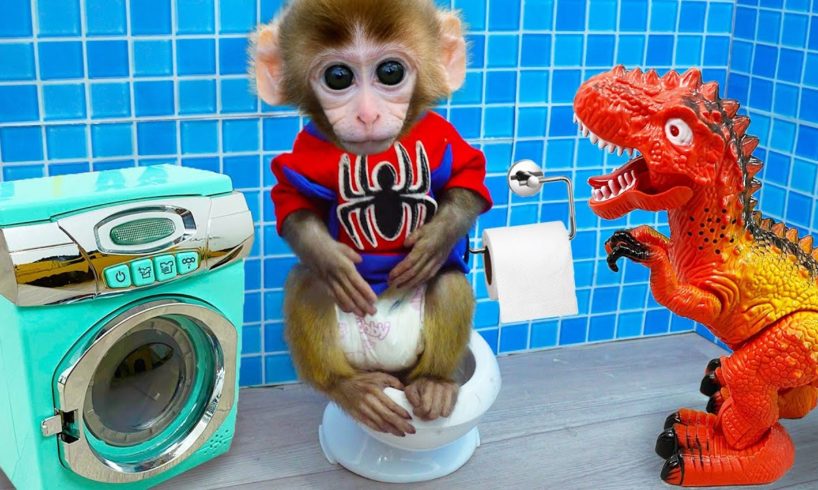 Animals Home monkey Bi Bon goes to toilet