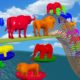 Animals Jump Over Pipes Gorilla, Lion, Elephant, Buffalo, Tiger, Cow, T-Rex, Bear, Hippopotamus