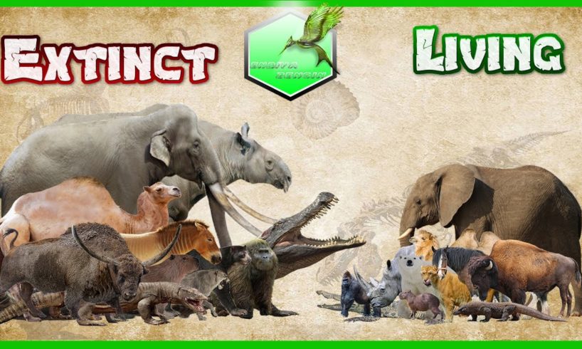 Animals Size Comparison [Living Extinct]