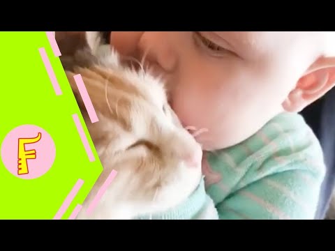 Aww so cute cutest #baby #animals #videos #compilation 2022 cutevideo -paws House