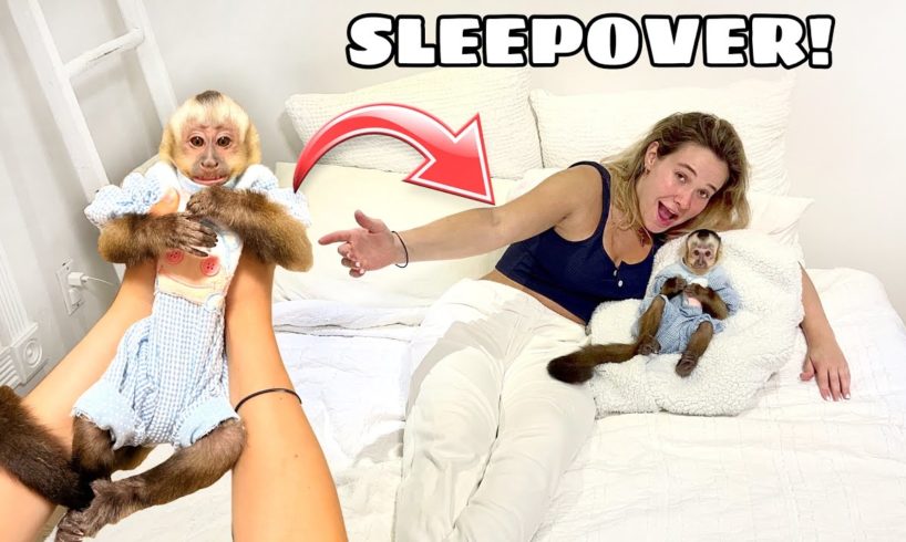 BABY MONKEY SLEEPOVER! WHAT DID WE DO?!