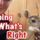 Baby Deer Rescue Day 2
