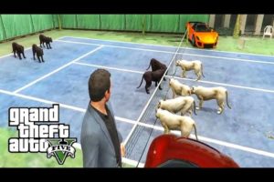 Black Panthers vs Mountain Lions - GTA 5 Animals Fights