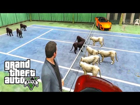 Black Panthers vs Mountain Lions - GTA 5 Animals Fights