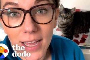 Cat Can’t Stop Stealing His Mom’s Baths | The Dodo