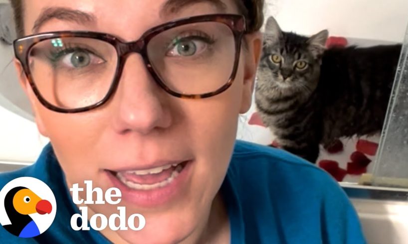 Cat Can’t Stop Stealing His Mom’s Baths | The Dodo