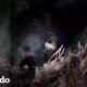 Chico oye aullidos provenientes de una cueva de 20 pies de profundidad | El Dodo