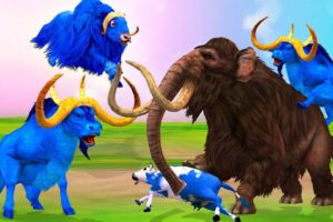 Cow Cartoon , Giant Bulls vs Mammoth Elephant Animal Fight | Cow Cartoon Transformed into Zombie cow