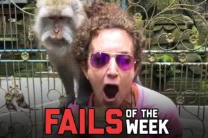 Day Ruined! Fails of the Week | FailArmy