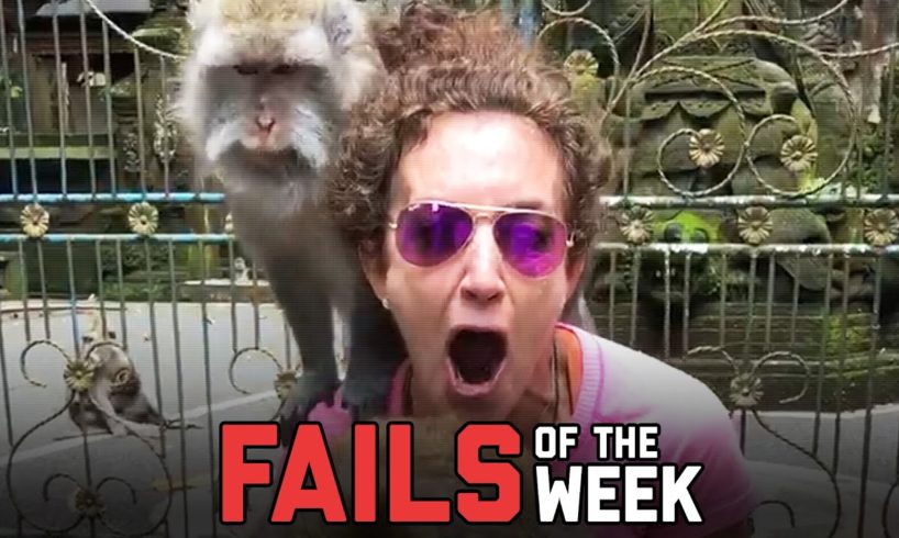 Day Ruined! Fails of the Week | FailArmy