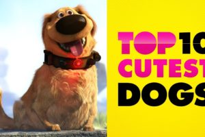 Disney Top 10 Cutest Dogs