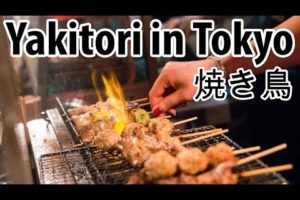 Eating Japanese Yakitori on Tokyo's Memory Lane (Piss Alley)