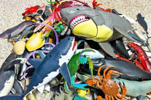 Entire Sea Animals Collection - Shark, Whale, Dolphin, Turtle, Crab, Squid, Dugong, Eel, Fish