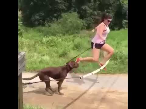 Fail Videos | Funny Fail Compilation 2022 | Fails of the Week#shorts