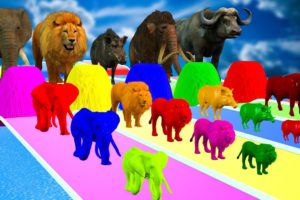 Fountain Crossing Mammoth, Elephant, Lion, Dinosaur, Cow, Gorilla, Buffalo Animals funny video