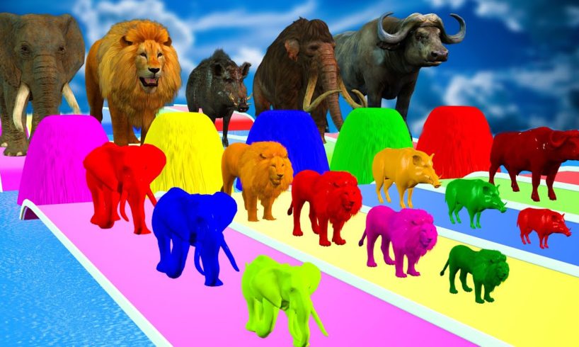Fountain Crossing Mammoth, Elephant, Lion, Dinosaur, Cow, Gorilla, Buffalo Animals funny video