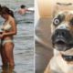 Funny Pets & Animals that will make your day not so boring