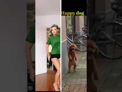 Funny Videos 2022 |Fails Of The Week |Girl Fails| shorts