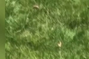 Local 4 News at 11 -- April 28, 2022