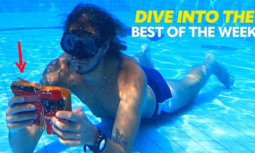 Man Reads Book Underwater | Best Of The Week